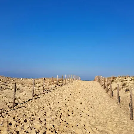 Beautiful Stacaravan Kamp alanı Saint-Julien-en-Born