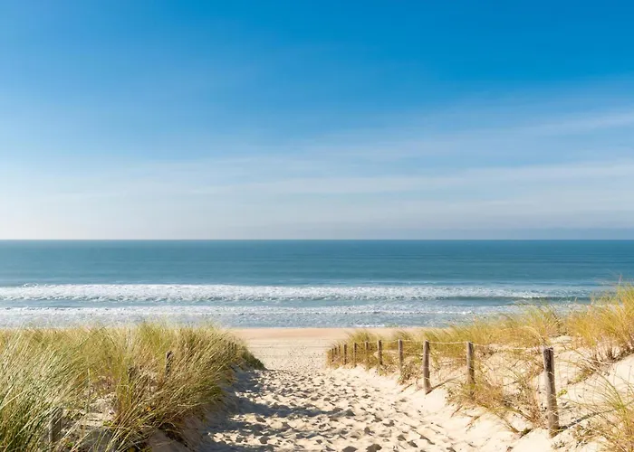 Campingplads Beautiful Stacaravan 4*